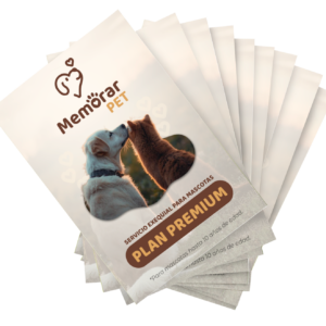 memorar pet servicio exequial mascotas medellin bucaramanga