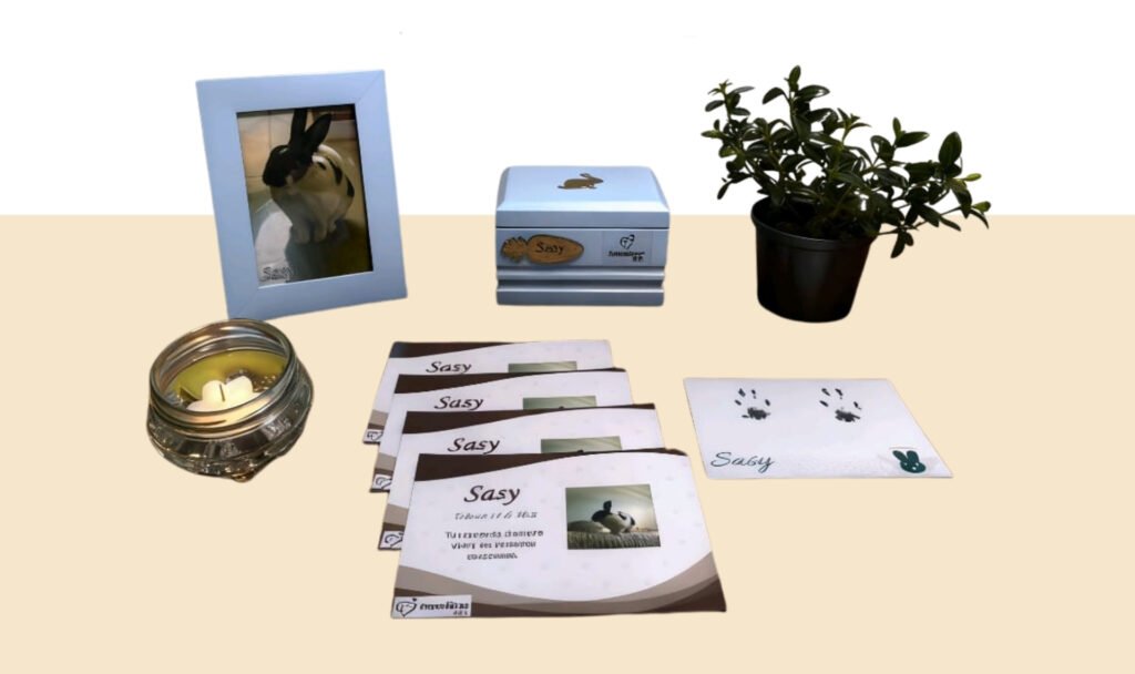 servicio con devolucion de ceninizas memorar pet funeraria para mascotas 1