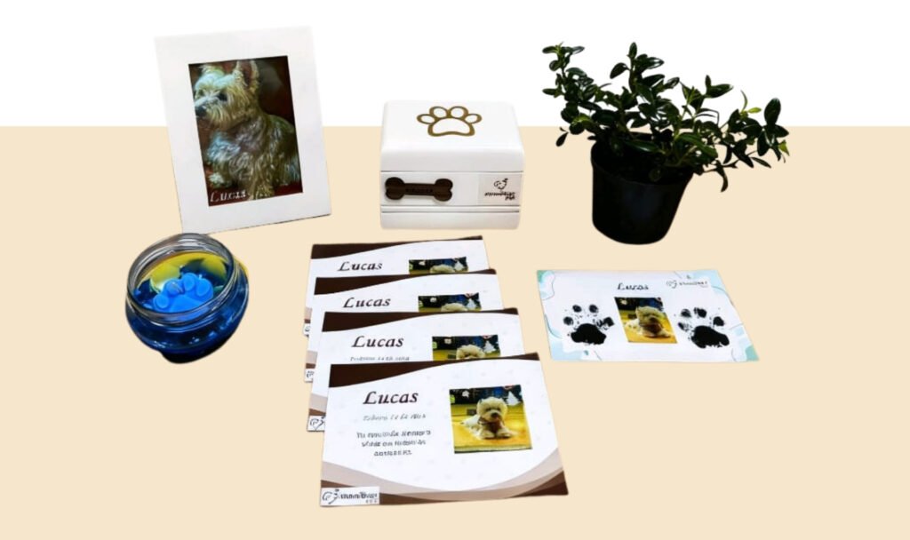servicio con devolucion de ceninizas memorar pet funeraria para mascotas 3
