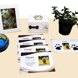 servicio con devolucion de ceninizas memorar pet funeraria para mascotas 3