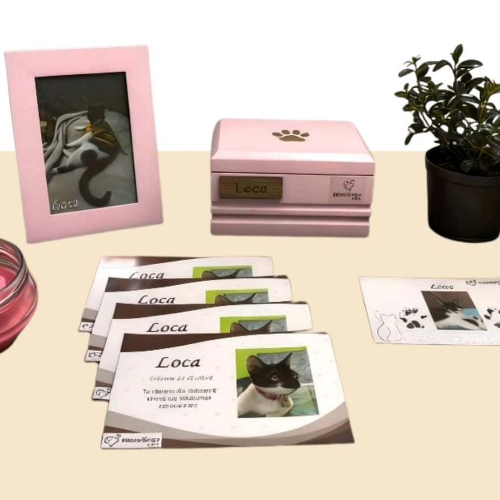 servicio con devolucion de ceninizas memorar pet funeraria para mascotas 2.jpg